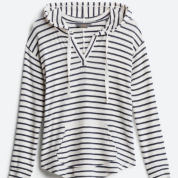 Nwt Market Spruce Kallon Brushed Knit 